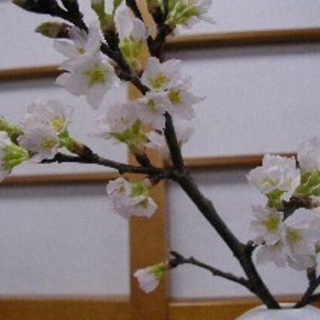 Wakaba Ryokan / Vacation Stay 29366 Саката Екстер'єр фото