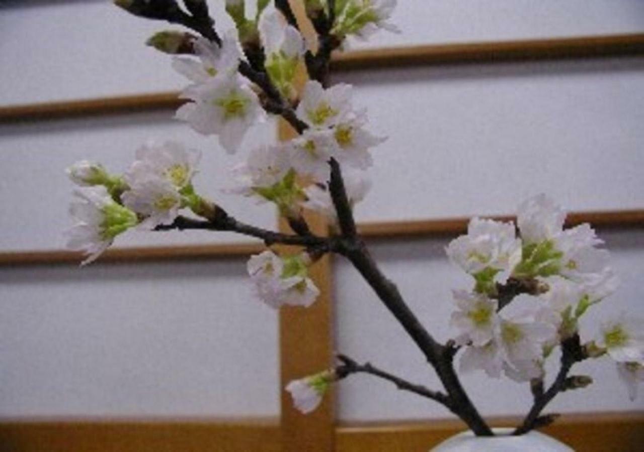 Wakaba Ryokan / Vacation Stay 29366 Саката Екстер'єр фото